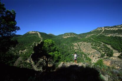 El parque regional de Sierra Espuña (en la imagen), en el corazón de la Región de Murcia, es un ejemplo de reforestación gracias al cual un macizo montañoso calizo, que en puntos supera los 1.500 metros de altura, ha pasado de estar desarbolado a ocupar 5.000 hectáreas de monte con pinos de repoblación flanqueando barrancos en los que crecen madreselvas, fresnos, sauces y olmos. El ingeniero Ricardo Codorníu lideró las actuaciones a finales del XIX, y ahora el centro de visitantes lleva su nombre. Recomendable informarse en él antes de patearse la sierra por su red de caminos, pistas forestales y senderos señalizados. Aquí se concentran las áreas recreativas de Fuente del Hilo, La Perdiz, Las Alquerías o Campamento Exploradores; el Santuario de La Santa de Totana; los miradores de La Cabaña o Collado Bermejo; Los Pozos de la Nieve. <a href="https://www.murciaturistica.es/es/espacio_natural/sierra-espuna-4499/" target="_blank">murciaturistica.es</a>