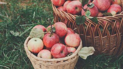 Fibras de frutas, leche o madera. Así es como la moda quiere abandonar lo sintético