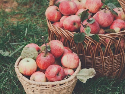 Fibras de frutas, leche o madera. Así es como la moda quiere abandonar lo sintético 