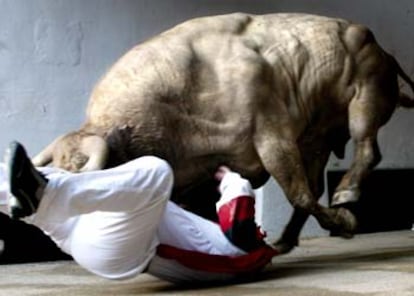 Un toro trata de cornear a un mozo caído en el callejón de entrada a la plaza de toros de Pamplona.