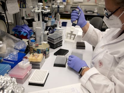 Una investigadora trabaja en un laboratorio de la Universidad Complutense de Madrid.