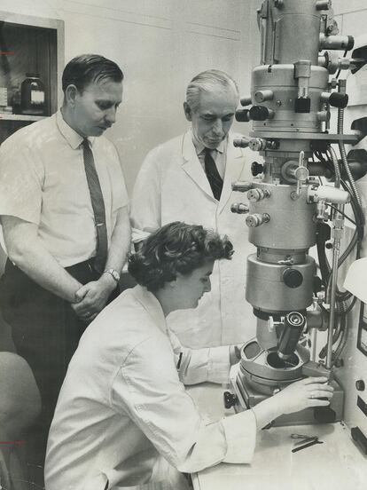 June Almeida, trabajando con el microscopio en 1956.