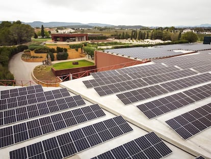 La mitad de la energía proviene ya de placas fotovoltaicas y caldera de biomasa. En la imagen, bodega Waltraud, sostenible e integrada en el entorno.