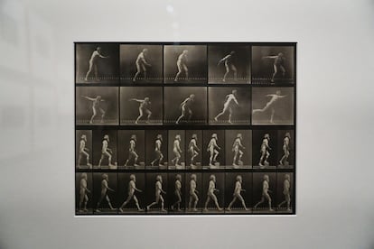 Un modelo desnudo del fotógrafo Eadweard Muybridge imita el movimiento de un discóbolo en una serie y en otra camina, en la exposición que puede verse en el Museo Universidad de Navarra.