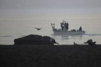 Un pesquero esta semana cuando se dirigía al puerto de la Atunara de la Línea de la Concepción.