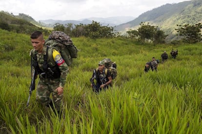 Miembros del frente 36 de las fuerzas armadas revolucionarias de Colombia viajan a un nuevo campamento en el estado de Antioquia, en los Andes del noroeste de Colombia.
