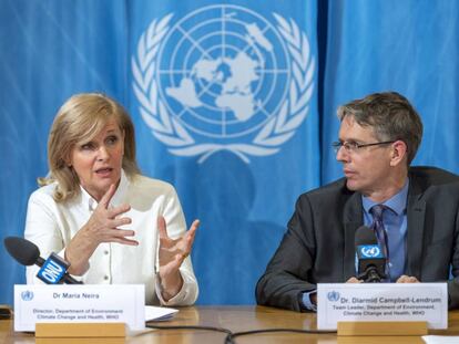 María Neira, directora del departamento de Medio Ambiente, Cambio Climático y Salud de la OMS, y Diarmid Campbell-Lendrum, científico del mismo departamento, el pasado 29 de noviembre en la sede de la ONU en Ginebra.
