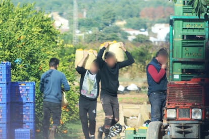 Algunas de las personas que eran explotadas en Onda (Castellón) trabajando en el campo.