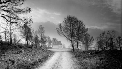 Camino de acceso a una casa rural abandonada en la sierra de los Donceles, en Albacete.