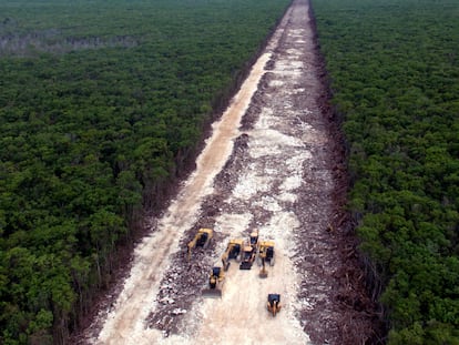 Vista aérea de la deforestación en la selva a la altura de Playa del Carmen, en Quintana Roo, para construir el tramo 5 del Tren Maya, el pasado 2 de mayo.