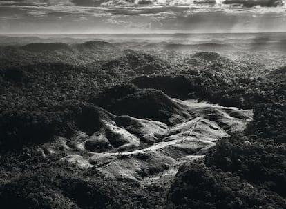 Las pistas que permiten el acceso de los leñadores furtivos al Amazonas brasileño se adentran entre la vegetación hasta el territorio que pueblan los awá al noreste del país. Los granjeros ilegales transforman la reserva forestal en pasto para el ganado.