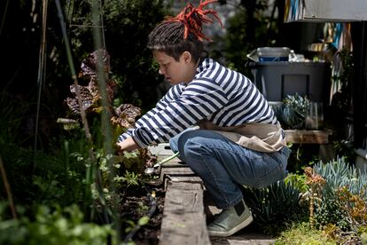 Carolina Bazán, en el huerto de su casa en Santiago.