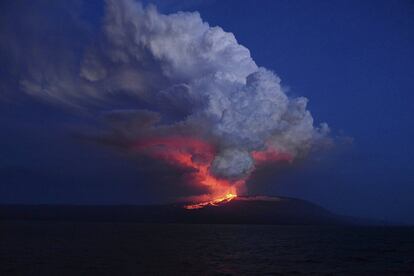 El volcán 'Wolf', ubicado en las islas Galápagos, ha entrado en erupción en la madrugada de este lunes, sin que de momento haya peligro para las poblaciones cercanas ni para la fauna, según ha informado el Parque Nacional.