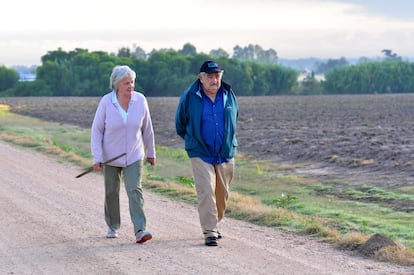 José Mujica y su esposa Lucía Topolansky caminan en su chacra cerca de Montevideo, el 28 de febrero de 2010. 