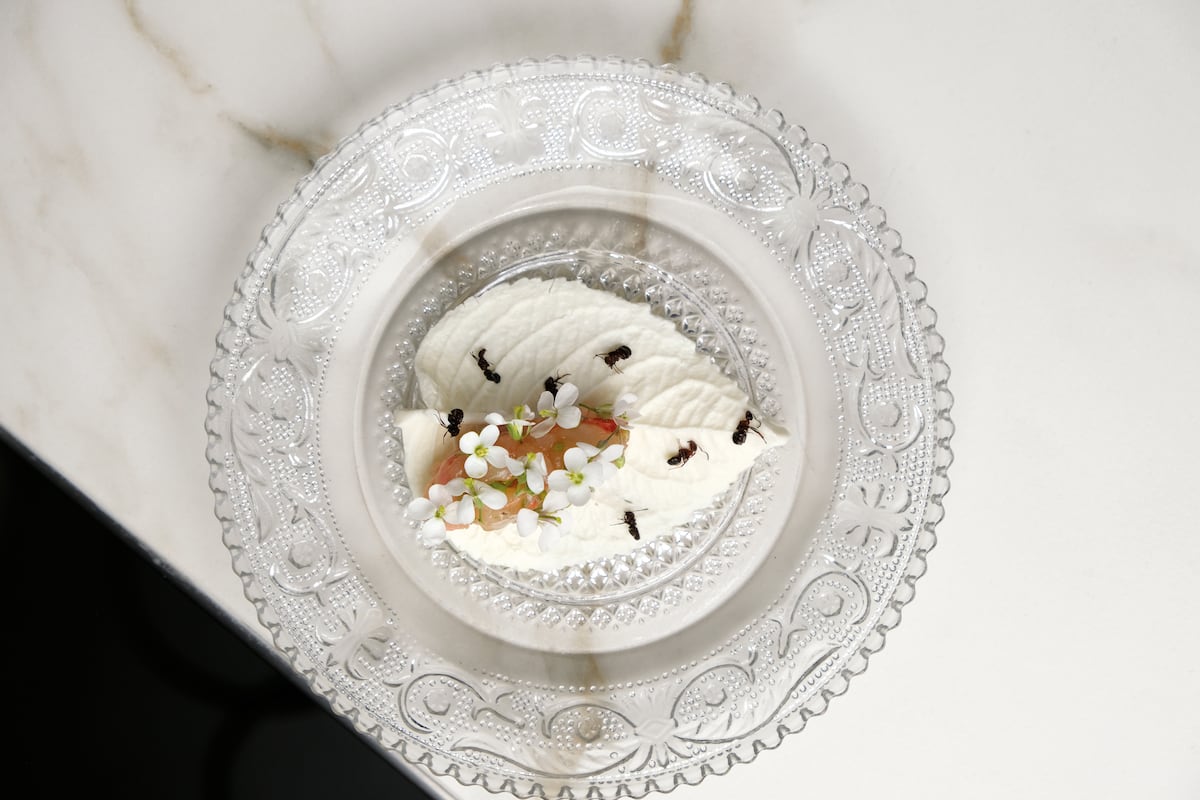 Crickets and grubs on the menu: Are we ready to eat insects?