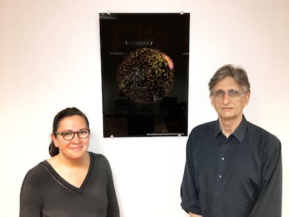 Los científicos Irène Aksoy y Pierre Savatier posan junto a un embrión de conejo con células humanas (rosas).