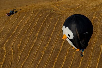 Un globo con forma de pingüino sobrevuela un campo de labor.