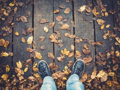 A la mitad de los españoles se les va a caer el pelo en otoño