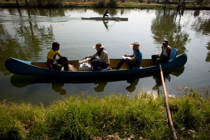 Biólogos de la Universidad Nacional Autónoma de México realizan un censo del ajolote salamandra en un canal de Xochimilco, en 2014. 