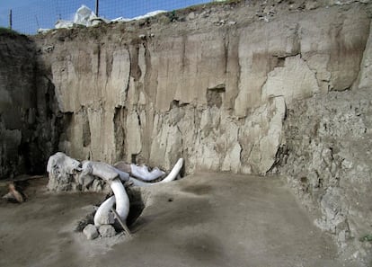 En el municipio de Tultepec, a unos 40 kilómetros al norte de Ciudad de México, se han hallado 824 huesos pertenecientes a 14 mamuts dentro de trampas excavadas por cazadores, por primera vez en la historia. En la foto, vista general del lugar donde se encontraron los restos óseos, el 6 de noviembre.