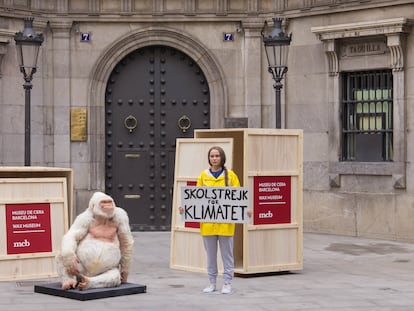 Las figuras de 'Copito de nieve' y Greta Thunberg, a su llegada al Museo de Cera de Barcelona.