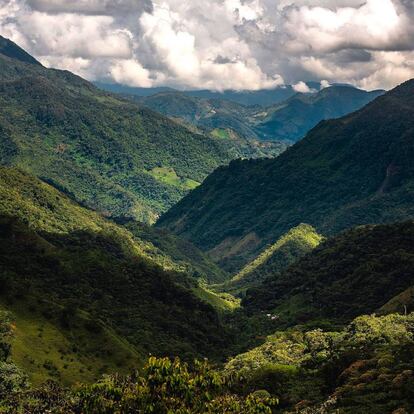 Reserva forestal protectora regional Cañones de los ríos Melcocho y Santo Domingo.