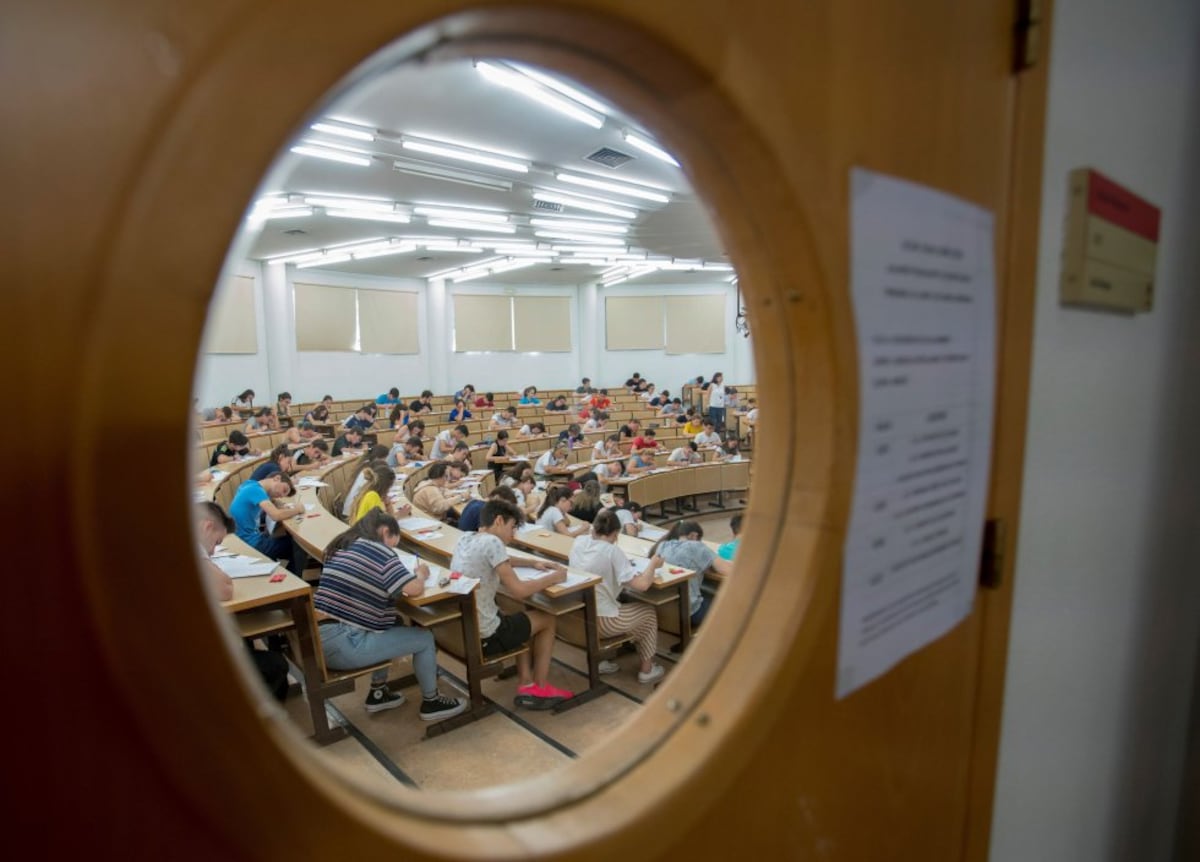 La educación lingüística y literaria en la EBAU | Educación
