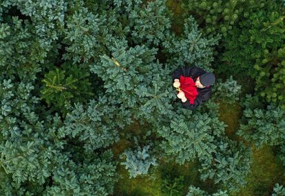 Una vista aérea muestra al propietario del vivero Heiko Tacke de pie entre los árboles de Navidad de su granja en Halver (Alemania).