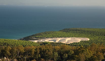 Un sorprendente <a href="https://www.playadebolonia.es/" target="_blank">domo arenoso</a> se eleva más de 30 metros sobre uno de los espacios menos transformados y mejor conservados de la costa gaditana. Sus centenares de metros lineales batidos por los vientos del parque natural del Estrecho, en el istmo de Punta Camarinal, constituyen uno de los valores naturales más notables de Andalucía. Aquí la naturaleza aún gana terreno a la civilización. El sendero de la duna es muy sencillo, apenas un kilómetro y sin desniveles, aunque se realiza por arena. El aliciente es pasar junto a la duna y también visitar las ruinas de ciudad romana de Baelo Claudia.