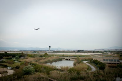 Un avión despega de El Prat y sobrevuela un humedal habitado por flamencos