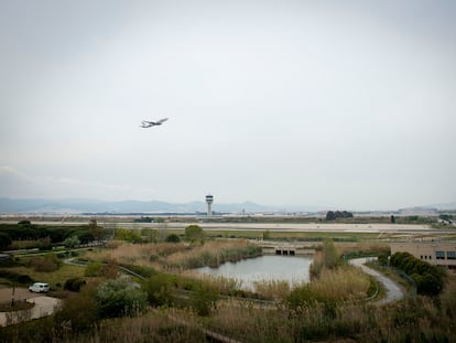 Un avión despega de El Prat y sobrevuela un humedal habitado por flamencos