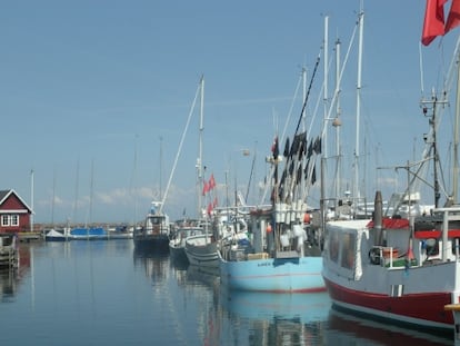 El puerto pesquero de Dragør.
