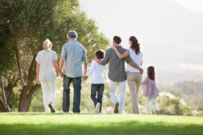 Rear view of multi generation family holding hands and walking in the park