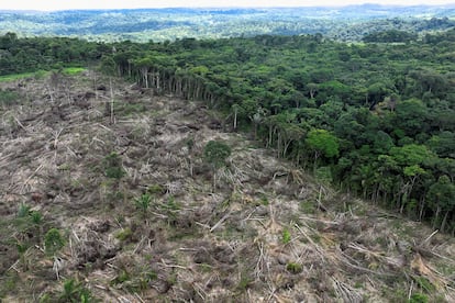 Brazilian Amazon