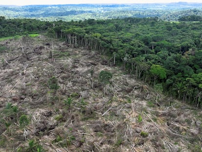 Una zona deforestada en la Amazonia durante una operación para combatir la tala ilegal cerca de Uruara, en el Estado de Pará, en enero de 2023.