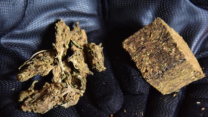 Un traficante muestra la marihuana colombiana (izquierda), conocida como “colombinha” en São Paulo, y la marihuana paraguaya, conocida como “prensado”.