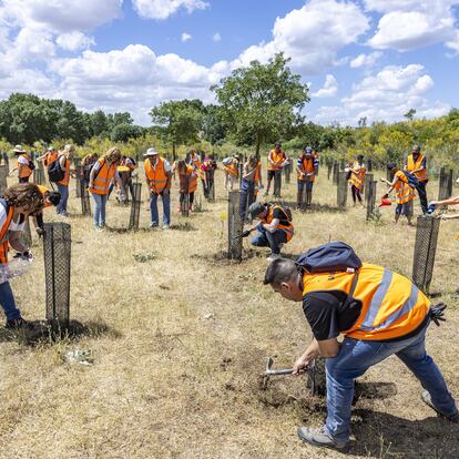 Más de 3.000 empleados de Repsol han participado en la 11ª edición de la Semana del Voluntariado, en la que se han impulsado cerca de 90 actividades que han contado con la participación de empleados de 21 países. Este año la Semana ha estado dedicada a la movilidad sostenible. Así, durante una semana, empleados de  diversas partes del mundo han participado de forma activa en acciones, todas ellas vinculadas con el compromiso con la sociedad, la sostenibilidad o la transición energética.