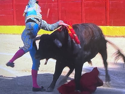 Un momento de la cornada sufrida por Sergio Rollón en la plaza madrileña de Valdetorres del Jarama.