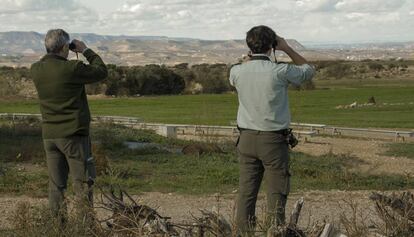 Dos agents rurals vigilen un camp de Lleida.