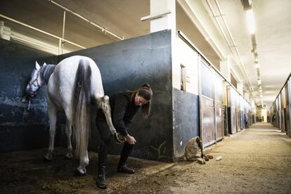 Los propios agentes se encargan de cuidar de los caballos, a los que limpian y cepillan a diario.