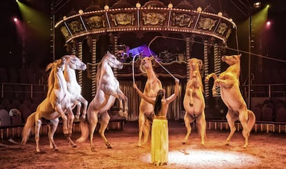 Espectáculo circense con caballos en España.