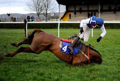 El caballo Flaming Charmer cae y derriba a su jinete Brendan Powell. Fue en una carrera celebrada en Wincanton, Inglaterra.