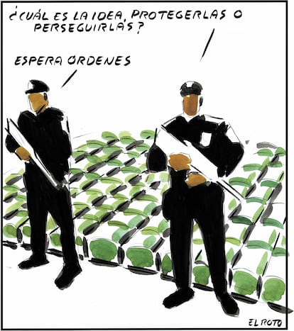 El Roto 30/11/24