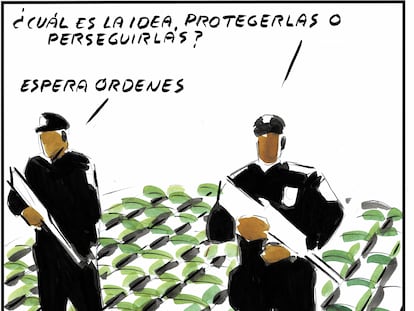 El Roto
