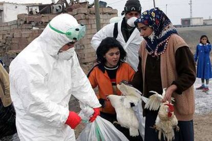 Una mujer entrega sus pollos a un agente del Ministerio de Agricultura en Dogubayacit (Turquía).