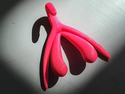 El clítoris, la nueva lección para este curso en los colegios franceses