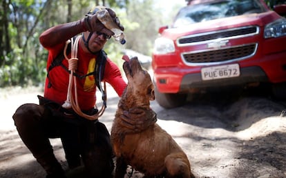 Bombeiro dá água para um cachorro cheio de lama em Brumadinho nesta quarta-feira, 30 de janeiro. Cães farejadores estão ajudando nas buscas por vítimas. 