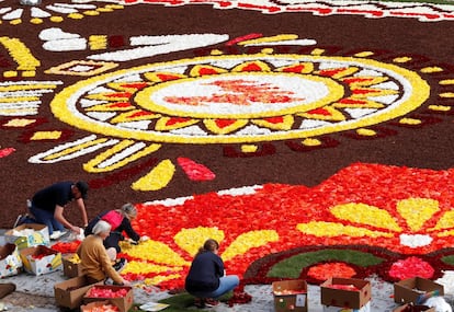 Voluntarios arreglan flores en el tapiz de la Grand Place, en Bruselas.