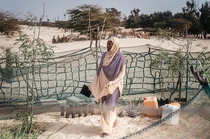 Khaya Aidora es una agricultora senegalesa de 34 años que reside a las afueras de la apacible localidad de Gandiol, a tan solo 45 minutos en coche de la ciudad de Saint Louis. Vive en una pequeña casa rural, rodeada de campos de cebollas y otras hortalizas, que cuida con mimo, a pesar de la difícil situación que atraviesa el campo senegalés en la actualidad. En su caso, los problemas se agravaron cuando el agua salada comenzó a entrar en sus tierras en 2003. En la imagen, tomada en agosto de 2024, aparece Aidora en el huerto familiar, cerca de su hogar en la localidad de Gandiol.