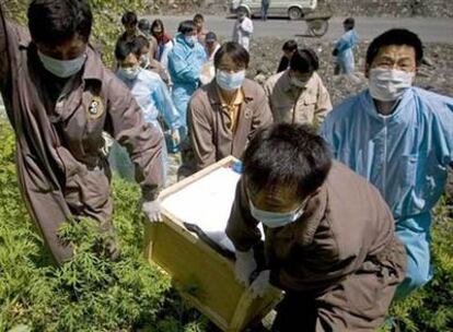 Miembros de los servicios de emergencia chinos conducen los restos mortales de Mao Mao hacia el lugar donde ha recibido sepultura